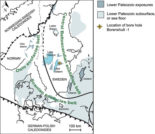 Figure 1. Map of Sweden illustrating lower Paleozoic deposits modified from Jaanusson (Citation1995) and Bergström et al. (Citation2012). The Caledonian fronts are marked in the west and in the south. The Borenshult-1 drillcore is marked with a yellow circle. Herein the use of the international term ecofacies belt (a combination of faunal assemblages and lithological characteristics) is preferred over the local term “confacies belt” as defined by Jaanusson (Citation1995) and Hagenfeldt (Citation1995).