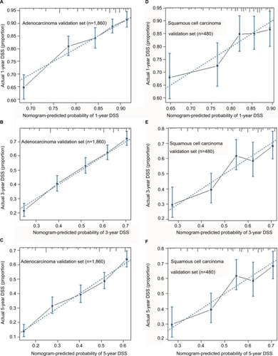 Figure 4 Calibration plots for predicting patients’ DSS at 1 year (A), 3 years (B), and 5 years (C) in the adenocarcinoma validation set. Calibration plots for and predicting DSS at 1 year (D), 3 years (E), and 5 years (F) in the squamous cell carcinoma validation set.Notes: The X-axis represents the predicted survival of nomogram, and on Y-axis is plotted actual survival. The dotted line represents the ideal correlationship between predicted and actual survival.Abbreviation: DSS, disease-specific survival.