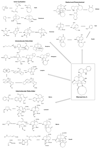 Figure 2. Different strategies used for total synthesis of Manzamine A.