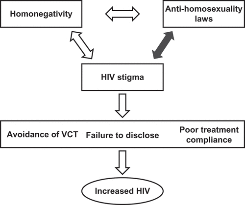 Figure 1. Authors’ conceptual framework of the pathways in which anti-homosexuality laws lead to increased incidence of HIV in a population.