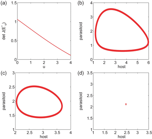 Figure 1. (a) plots components of the interior steady state as a function of u for system Equation(15). (b) plots det J* as a function of u with α=15 and a=0.1. In contrast to Figure 2(a) where det J* is always decreasing, det J* in (b) increases first but it cannot exceed 1, while it is increasing. (c) is the bifurcation diagram for the Ricker equation x(t+1)=x(t) e r(1−x(t)) using r as a bifurcation parameter.