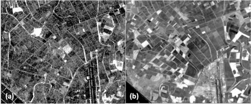 Figure 4. Different information contents in (a) PALSAR image and (b) SPOT-XS (NIR) band.