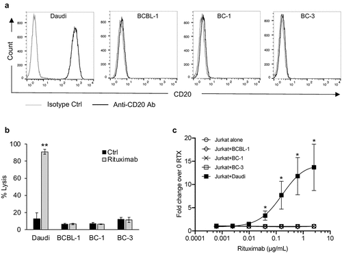 Figure 5. Rituximab does not induce complement-dependent cytotoxicity (CDC) or antibody-dependent cell-mediated cytotoxicity (ADCC) against PEL cell lines. (a) Levels of CD20 on the surface of a BL cell line, Daudi, and PEL cell lines, BCBL-1, BC-1, and BC-3, were measured by flow cytometry using PerCP-Cy5.5 conjugated isotype control or anti-CD20 antibody. (b) Complement dependent cytotoxicity (CDC) in the presence of 20% pooled normal human serum was performed on Daudi and PEL cell lines treated with 10 µg/mL rituximab or control ab. Cells were stained with propidium iodide (PI) and % lysis was determined based on PI-positive cells using flow cytometry. (c) ADCC induction by rituximab (RTX) assessed using Jurkat-ADCC cells as the effector cells. Daudi or PEL cell lines were treated with various concentrations of rituximab and co-incubated with Jurkat-ADCC cells and luciferase activity was measured after 6 h. Data are presented as fold change in luciferase activity in the presence of rituximab over that in its absence. Error bars represent standard deviations from 3 independent experiments. Statistically significant differences (*P ≤ .05, **P ≤ .01) by 2-tailed t-test are indicated.