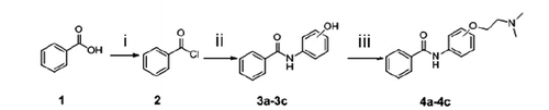 Scheme 1. Synthesis of benzamide derivatives. Reagents and conditions: (i) (COCl)2, DCM, reflux;(ii) aminophenol, TEA, acetonitrile, 60 °C; (iii) (CH3)2 N(CH2)2Cl2, K2CO3, NaI, acetone, reflux.