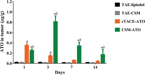 Figure 3 Comparison of ATO concentration in tumor. At 1-day post treatment, intratumoral ATO concentration in the CSM-ATO group was lower compared with the cTACE-ATO group, whereas at 3-days, 7-days and 14-days post treatment, intratumoral ATO concentration was higher in the CSM-ATO compared with the cTACE-ATO group. Comparison among the four groups at the same time point and among different time points in the same group was determined by One-way ANOVA, followed by Tukey’s multiple comparisons test. P < 0.05 was considered significant. *Comparison between the CSM-ATO and cTACE-ATO groups was significant. #Comparison between the CSM-ATO and TAE-CSM groups was significant, or comparison between the cTACE-ATO and TAE-lipiodol groups was significant.Abbreviations: ATO, arsenic trioxide; CSM, CalliSpheres Microspheres; cTACE, conventional transcatheter arterial chemoembolization; TAE, transcatheter arterial embolization; NC, negative control.