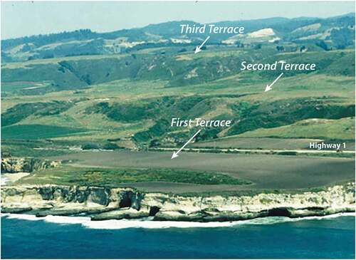 Figure 3. Mendocino County’s marine terraces: first, second, and third. The fourth terrace is somewhat visible with cleared ground above the third. Jenny’s (Citation1973) ‘zero terrace is visible here as the wave-cut platform interspersed with pocket beaches and caves. Image: commons.wikimedia.org/wiki/File:Marine_terraces_California.jpg.