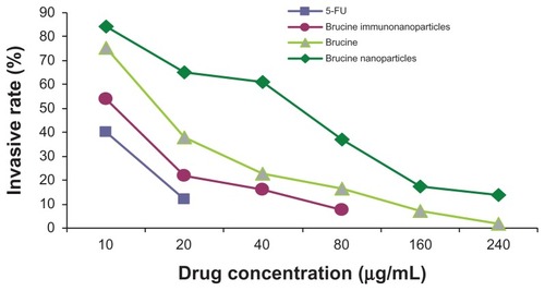 Figure 10 The invasion rate of the brucine immuno-nanoparticles on liver cancer cells. Compared with brucine and brucine nanoparticles, brucine immuno-nanoparticles had the strongest inhibition effects on liver cancer cell invasion after 72 hours.