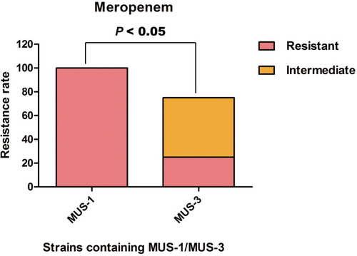 Figure 3 The level of resistance to meropenem between the clinical isolates of MUS-1 from the biliary and pancreatic surgery ward and MUS-3 from the urology ward (P < 0.05).