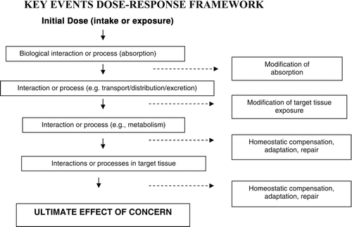 Figure 1 Schematic of the Key Events Dose-Response Framework. The Key Events Dose-Response Framework organizes information on the multiple biological events that occur between an initial dose and the specified effect of concern. Events are indicated generically; but a given pathway may have several kinetic and dynamic events, and may include events that are reversible. In theory, each event may be characterized by its dose and its outcome. Various mechanisms may be available at some events to respond to conditions caused by the agent.