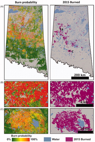 Figure 7. (A) Predicted forest burn probability in 2015 in Saskatchewan’s forested ecosystems, in comparison to actual burned forest areas for 2015, as detected independently by the C2C approach. Zoom-in examples showing spatially detailed agreement between predicted burn probability and detected fires in (B) Boreal Shield West and (C) Boreal Plains.