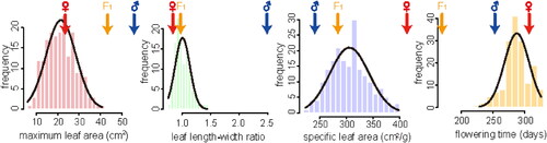 Figure 2. Histograms of the four analyzed traits in the F2 population. Phenotypic means for P. depressa, P. danxiaensis and F1 hybrids are indicated with blue, red and orange arrows, respectively.