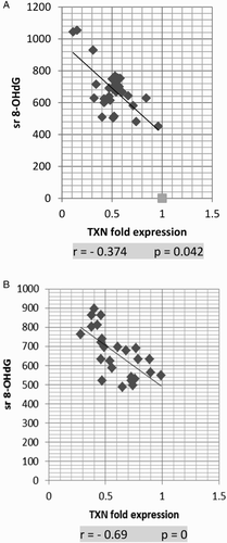 Figure 5 Correlation of TXN fold expression and serum 8-OHdG in AML (A) and ALL (B). TXN fold expression and serum 8-OHdG show strong negative correlation in both AML and ALL. The correlation is presented by scatter plot. Statistical analysis was performed using the Spearman test