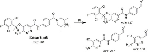 Scheme 1 ESB fragment ions.