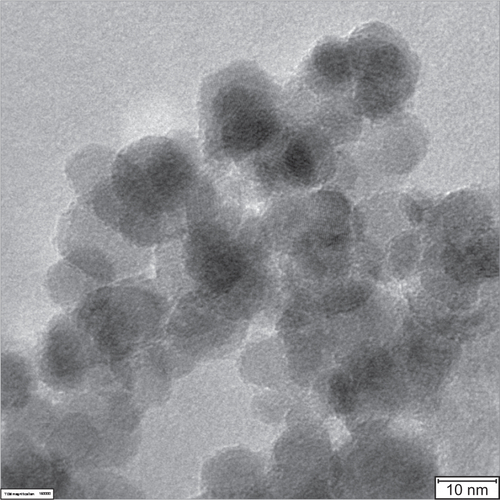 Figure S1 High-resolution transmission electron microscopy (HRTEM) micrograph of 200 nm fluidMAG-D magnetic nanoparticles (MNP).Notes: HRTEM micrograph reveals smaller core particles of approximately 10–12 nm in size clustered to a particle core size of approximately 70 nm in total. The HRTEM micrograph was prepared as described elsewhere.Citation37