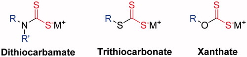 Figure 1. Metal complexing anions containing the ZBG : dithiocarbamates, trithiocarbonates and xanthates.