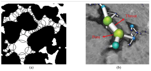 Figure 5. Identification of the pore throat network topology by the “maximum balloon” method: (a) pore bodies filled with spheres of different sizes, (b) schematic of the pore-throat-pore structure (L. Wang et al., Citation2020).