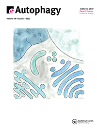 Cover image for Autophagy, Volume 18, Issue 10, 2022