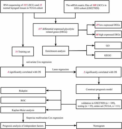 Figure 1. Flowchart of this study