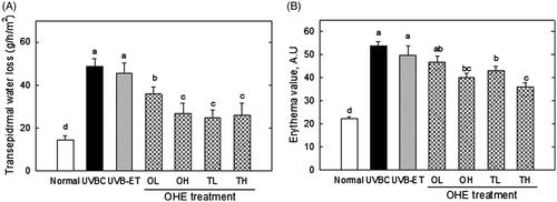 Figure 5. Transepidermal water loss and erythema value in the skin of UVB-irradiated hairless mice treated with OHE. (A) Transepidermal water loss in the dorsal mouse skin was examined using the Tewameter TM 300. (B) The erythema level was determined using a MexameterMX18. Normal: drinking water without OHE, no UVB irradiation; UVBC: drinking water without OHE plus UVB irradiation; UVB-ET: topical application of vehicle (15% eucalyptol); OL: 0.1% OHE in drinking water plus UVB irradiation; OH: 0.5% OHE in drinking water plus UVB irradiation; TL: topical application of OHE at 0.2 mg/cm2 plus UVB irradiation; TH: topical application of OHE at 0.4 mg/cm2 plus UVB irradiation. The values are the mean ± standard error of the mean (SEM) (n = 6). Different letters indicate significant differences (p < 0.05) among the groups as indicated by Duncan’s multiple range test.