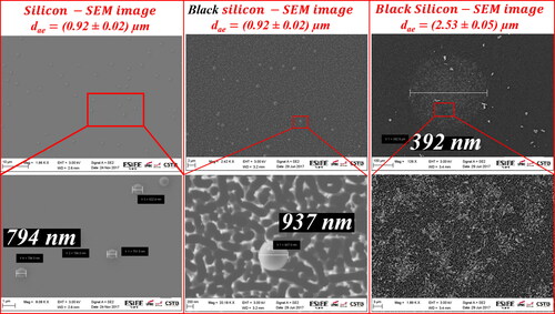 Figure 3. SEM of the deposition characteristics of fluorescent particles of different sizes on Si and BSi surfaces.