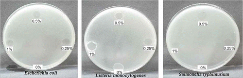 Figure 6. Results of inhibition zone method using 30 µl of each film-forming suspension (FFS) in function to chitosan concentration (0%, 0.25%, 0.5% and 1% w/w) against (a) Escherichia coli, (b) Listeria monocytogenes and (c) Salmonella typhimurium.Resultados del método de zona de inhibición usando 30 µl de cada suspensión formadora de películas (FFS) en función de la concentración de quitosano (0%, 0,25%, 0,5% and 1% p/p) contra (a) Escherichia coli, (b) Listeria monocytogenes, y (c) Salmonella typhimurium.