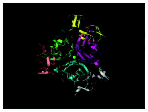 Figure 1. Crystal structure of TRAIL:DR5 complex. Homotrimeric DR5 (gray, light pink,and yellow) bound to homotrimeric TRAIL (cyan, green and magenta). A single zinc atom (green) is found in the center of the complex. Figure was generated using PyMOL software with Protein Data Bank (PBD) accession number 1D4V.Citation26