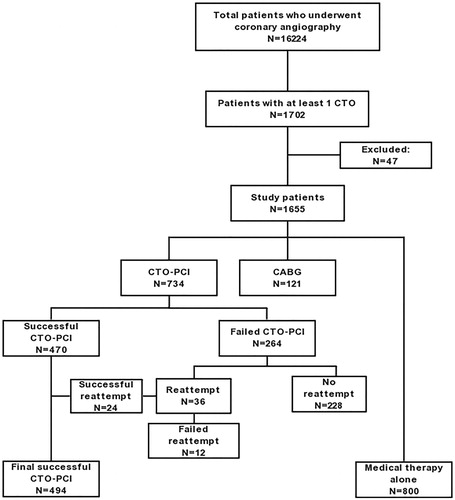 Figure 1. Flow chart of the study population. CABG: coronary artery bypass grafting; CTO: chronic total occlusion; PCI: percutaneous coronary intervention.