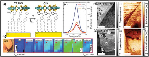 Figure 5. (a) Schematic of a diazo gated sample in trans and in the cis state. (b) Series of the PL intensity recorded from the MoS2-mSAM after UV exposure, irradiating the sample for the different duration and switching back to trans state after 120 min of white light exposure. (c) PL spectra showing switching from trans to cis and back to trans states (d) AFM (left) and KPFM (right) measurements recorded from multilayer MoS2-mSAM-Cl and (e) from multilayers MoS2-mSAM samples in trans state. Adapted with permission from ref 58. Copyright © 2014 American Institute of Physics.