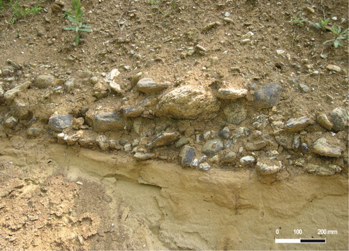 Figure 8. Fluvial cross-bedded gravel (Unit 6s) locally outcropping over the Piacenzian deltaic sand (Trofarello near Sauglio).