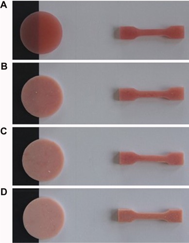 Figure 3 Specimens prepared for testing: disc shape obtained for translucency test and dumbbell shape for tensile strength test.Note: (A) Unreinforced specimen (n=20), acrylic resin specimens reinforced with (B) 2.5% nano-ZrO2 (n=20), (C) 5% nano-ZrO2 (n=20), and (D) 7.5% nano-ZrO2 (n=20).Abbreviations: 2.5%NZ, 2.5 wt% nano-ZrO2 reinforced heat-polymerized acrylic resin; 5%NZ, 5 wt% nano-ZrO2 reinforced heat-polymerized acrylic resin; 7.5%NZ, 7.5 wt% nano-ZrO2 reinforced heat-polymerized acrylic resin; nano-ZrO2, zirconium oxide nanoparticles.