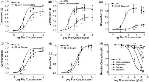 Figure 7. Effects of constituents of PCE on Phe-induced contraction of endothelium-intact aortic rings. Each constituent of PCE (final concentration, 50 µM) was added to endothelium-intact aortic rings 30 min prior to performing cumulative Phe concentration–response studies. (A–E) Representative concentration–response curve of isobavachalcone (A), isopsoralen (B), bakuchiol (C), psoralen (D) and corylin (E) are shown. (F) Effects of accumulative treatment with constituents on Phe (1 µM)-induced aortic contraction. Bars represent the mean values of inhibition ± SEM (n = 5). *p < 0.05, **p < 0.01 versus control.