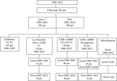Figure 1. STROBE diagram showing the timeline and different cohorts of patients and treatment strategies for a total of 391 patients (pts) treated using contact x-ray brachytherapy (CXB) in Lyon and Nice over a 32-year period of time 1980–2012.