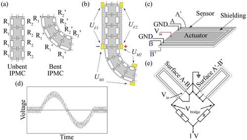 Figure 11. Self-sensing IPMC actuator designs: (a) change in electrode surface resistance (R1 and R2 vs. R1′ and R2′) due to strain from IPMC bending, (b) self-sensing IPMC design using difference in voltage drop along electrodes of the constrained sections of IPMC and electrodes along the unconstrained sections of the IPMC ((UM1 – UF1) − (UM2 – UF2)), (c) IPMC sectored into three sectors consisting of actuator, shielding and sensor regions, (d) input signal into IPMC actuator in Fig. (b) consisting of actuation signal with high frequency component that can be utilized for sensing after filtering out low frequency component, (e) bridge configuration utilized with IPMC actuator in Fig. (c) for sensing. Figures (a-d) reprinted with permission from [Citation141]. Figure (e) reprinted with permission from [Citation101].