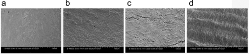 Figure 3. Scanning electron microscopy of the inner surface of the tube lumen. static(a); constant 60s pulse(b), constant 1 s pulse(c), and gradually increased the pulse frequency (d).