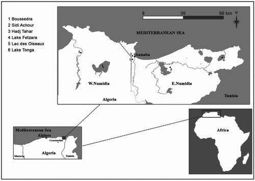 Figure 1. Location map of Numidia, northeast Algeria.