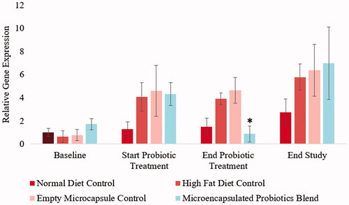 Figure 8. Influence of microencapsulated probiotic blend treatment on hamster gut Firmicutes. The microencapsulated probiotic blend caused a significant reduction in Firmicutes levels by the end of the treatment period (p < .05). (N = 3). (*) – Significant reduction compared to values at the start of probiotic treatment.