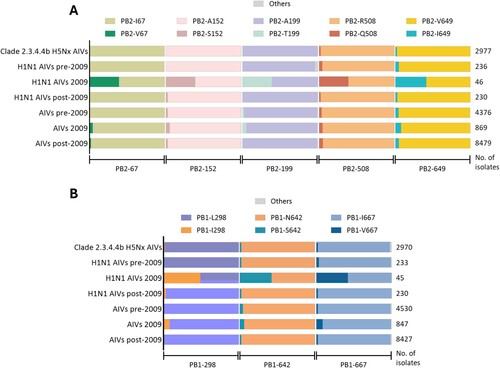 Figure 2. Frequencies of amino acids in (A) PB2 and (B) PB1 associated with airborne transmission in avian influenza viruses in North America. Analysis of the frequencies of amino acids in AIVs and subtype H1N1 AIVs pre-2009, 2009 and post-2009 and in recent subtype H5Nx Clade 2.3.4.4b viruses were performed using the Global Initiative on Sharing All Influenza Data (GISAID) (https://gisaid.org) Data accessed 10 January 2024.