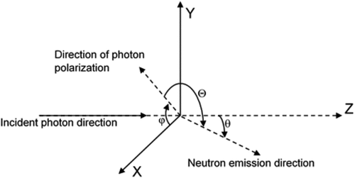 Figure 7. Relationship between incident photon direction and neutron emission direction [Citation5].