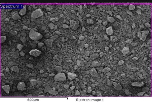 Figure 6. SEM image of cement.