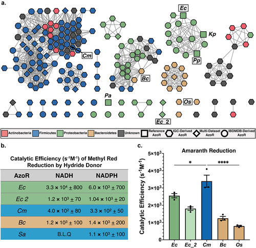 Figure 2. Diversity across atlas of bacterial AzoRs and activity of purified proteins. (a) Sequence Similarity Network of AzoR proteins across IGC and IBDMDB including reference sequences used to identify putative AzoRs colored according to Phyla, with abbreviations shown for proteins used in this study (E=1×10−40). (b) Catalytic efficiencies for Methyl Red azo reduction by purified AzoR enzymes as a function of hydride donor present in reaction. (c) Catalytic efficiencies for Amaranth azo reduction by purified AzoR enzymes. Statistical comparisons reflect activity of CmAzoR compared to other enzymes and were calculated using Tukey’s multiple comparisons test. *P < 0.05, ****P < 0.0001.