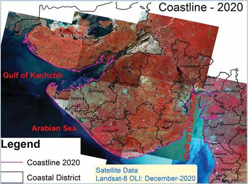 Figure 5. Coastline delineated using Landsat data of December 2020 covering coastal districts in Gujarat state.