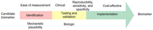 Figure 1 Translation of a candidate biomarker into clinical practice.