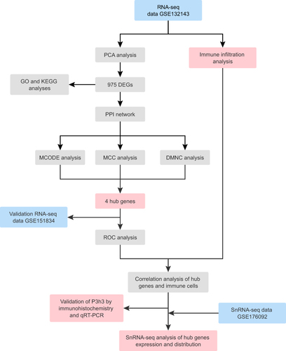 Figure 1 Workflow chart of the study.