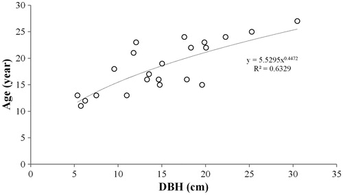 Figure 6. Relationship between DBH and age of M. kobus individuals. Power regression model is the most appropriate.