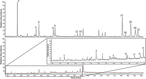 Figure 2. Chemical profiles of C. haematodes male (above) vs C. cinnaberinus male (below).