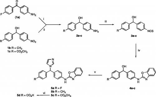 Scheme 1.  Reagents and Conditions: (i) NaBH4, MeOH, 1 h, rt, 60% (ii) H2, Pd/C, EtOH, 1 h, 48% (iii) CSCl2, CH2Cl2, H2O, 18 h, 0°C, 60–89% (iv) (a) 2-aminophenol, EtOH, o/n, rt, then (b) HgO, S, reflux, 2 h, 35–61% (v) 1,1'-carbonyldiimidazole, imidazole, CH3CN, reflux 2-12 h, 50–90% (vi) 2 M aq. NaOH, MeOH, reflux, 30 min, 62%.