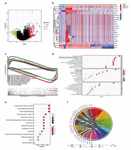 Figure 7. Gene enrichment analysis to identify ADAM12-associated pathways.