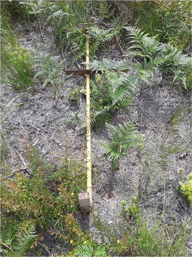 Figure 8. Image showing how the subsample points were measured from the base points for sample collection.