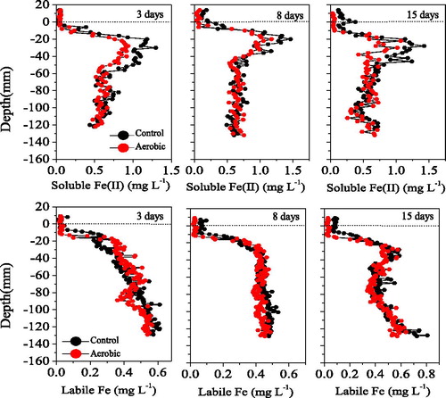 Figure 6. Effects of aerobic conditions on Fe concentrations in sediment profiles.