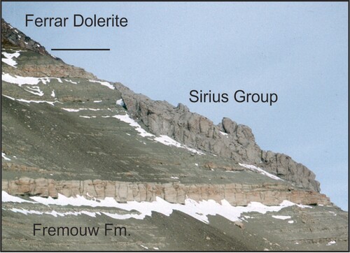 Figure 6. Sirius Group deposits plastered on Fremouw Formation strata at Dismal Buttress. Scattered large dolerite clasts are visible in the Sirius beds. The lower part of the outcrop is tentatively correlated with the outcrop illustrated by McGregor (Citation1965, Figure 3), which he estimated is about 40 feet (12 m) high; accepting the correlation, the exposure illustrated here is about 120 feet (36 m) high. View towards the east. Photograph by the author.
